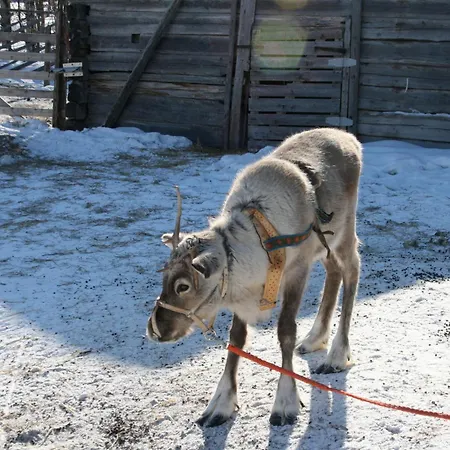 Lumia, Lomamoekki Levillae