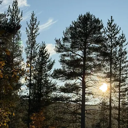 Huvilat Lumia, Levillä