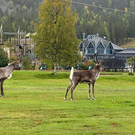 Villa Lumia, Lomamoekki Levillae Kittila (Lapland)