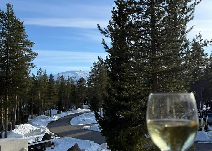 Lumia, Lomamoekki Levillae Kittilä